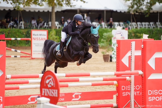 Equine Walker SA's Say Geronimo