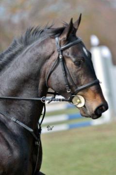 iPharma State Witness