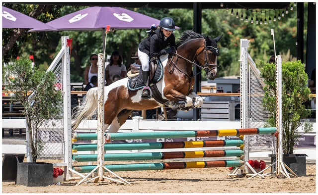 Equine Walker SA's Pandora