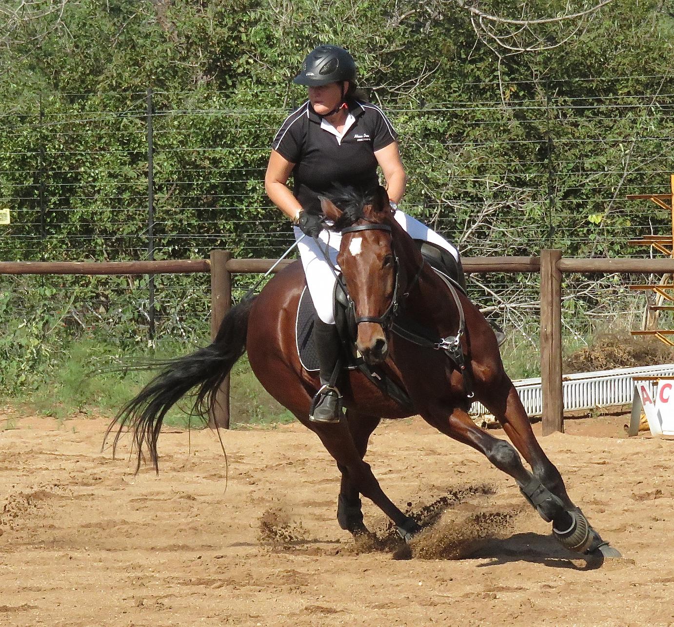 Philippa Gwen Moolman