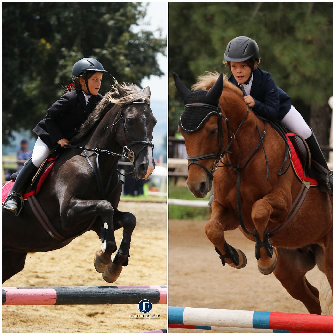 Mialee Van Vollenstee