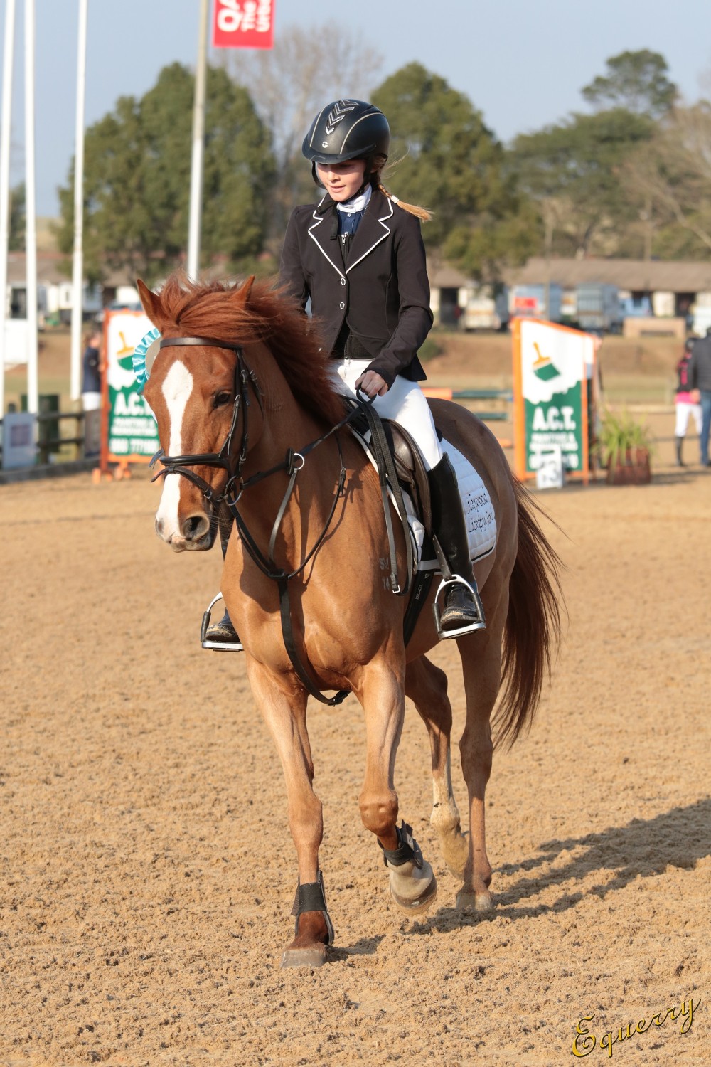 South African Show Jumping