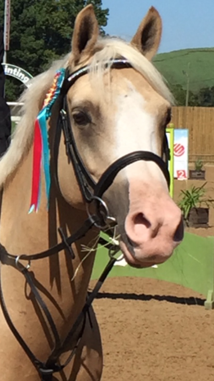 Nicola Harcourt-Baldwin