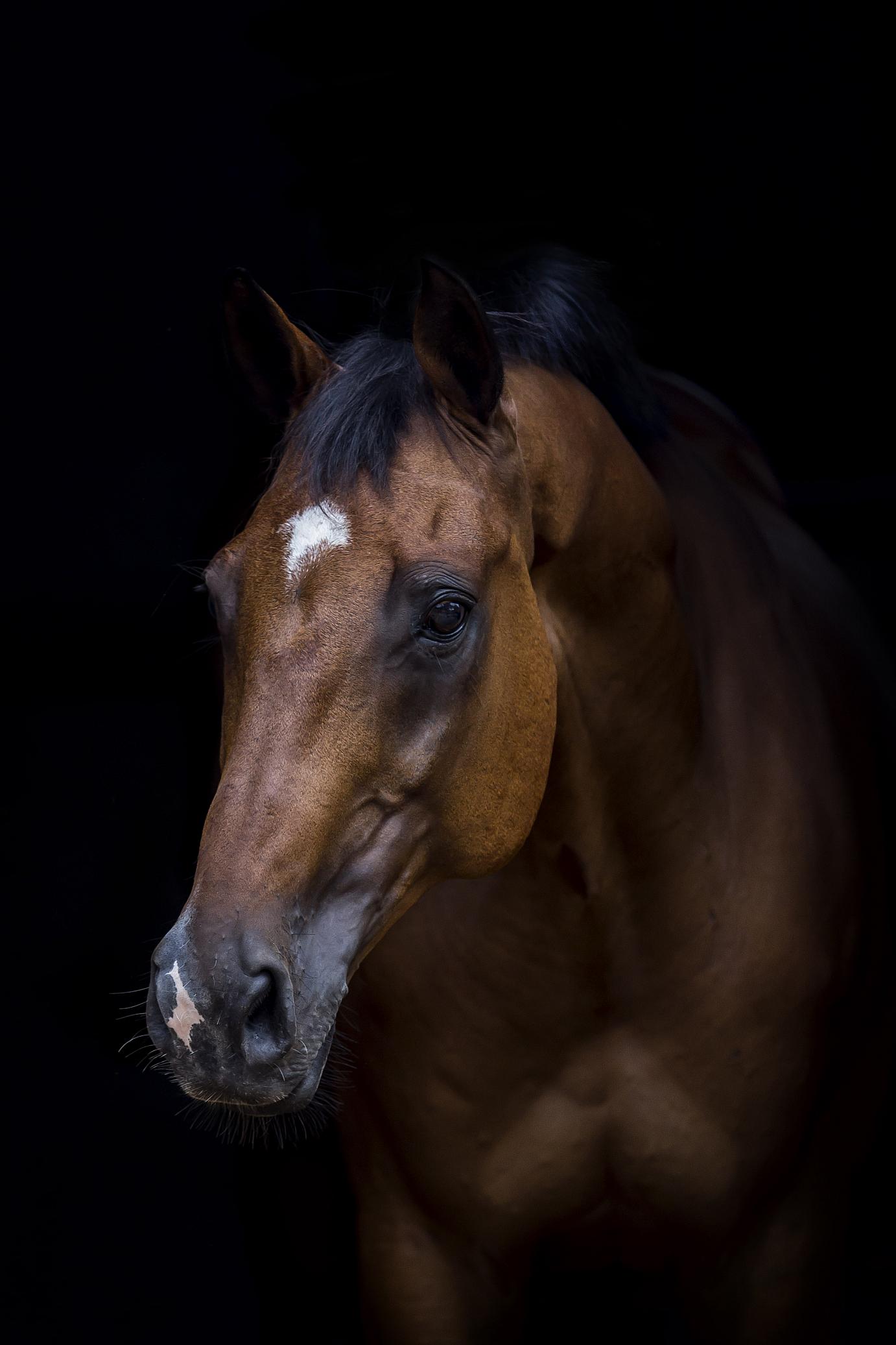 Debbie (Deborah) Turner