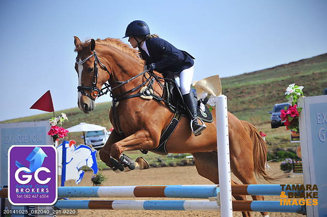 Michelle Goncalves da Ponte