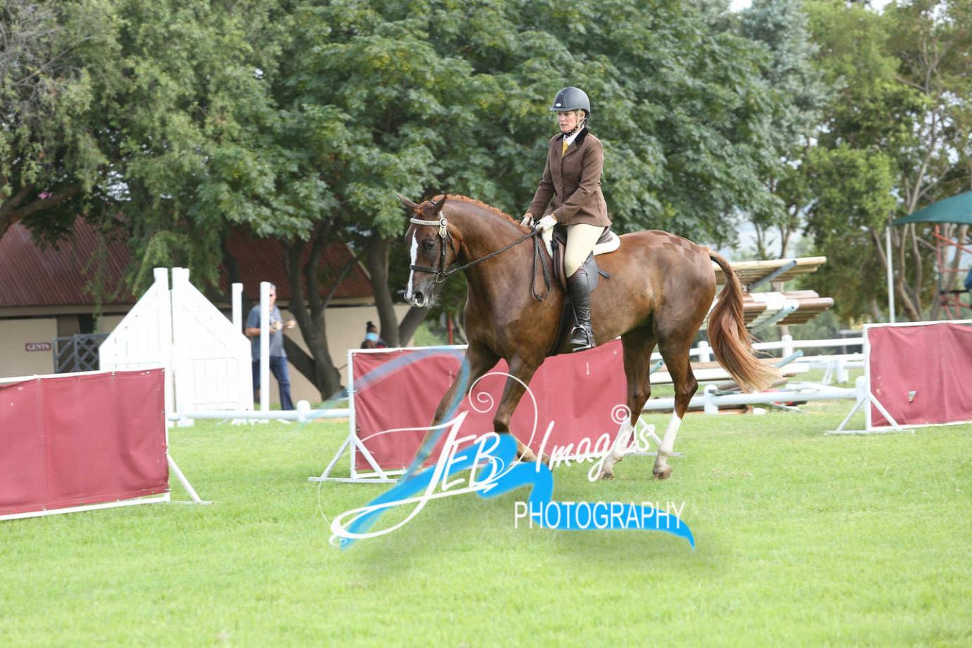 Tess Lonsdale-Strzelecki