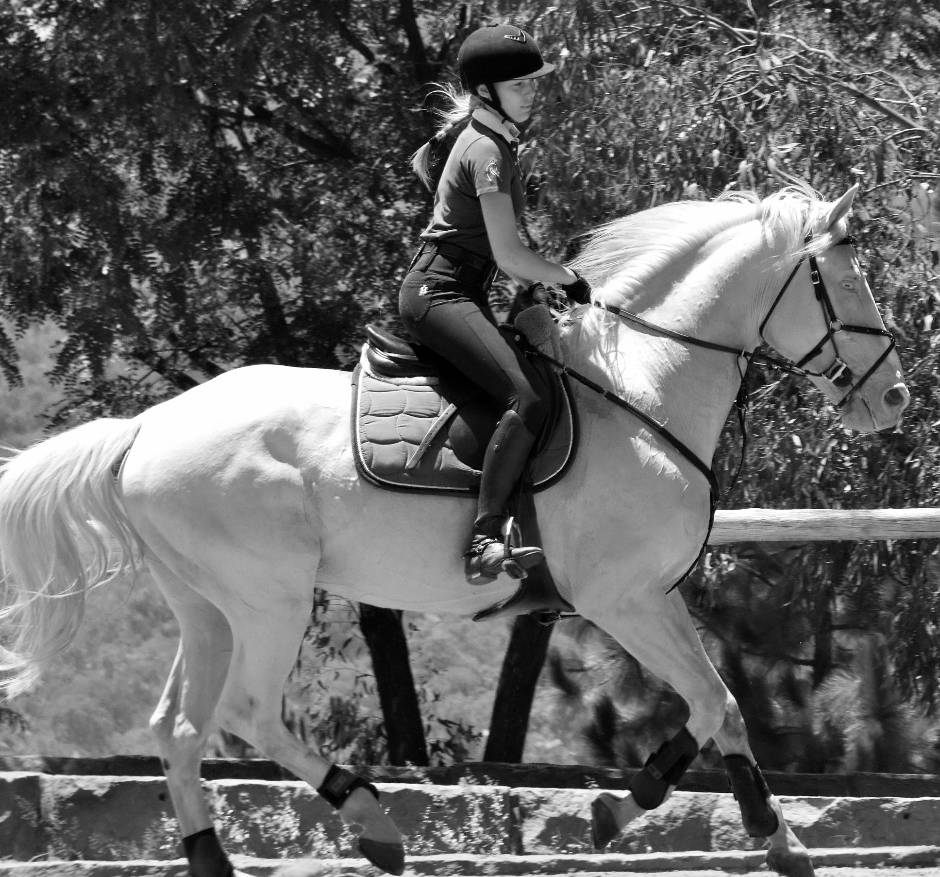 Catherine van den Berg