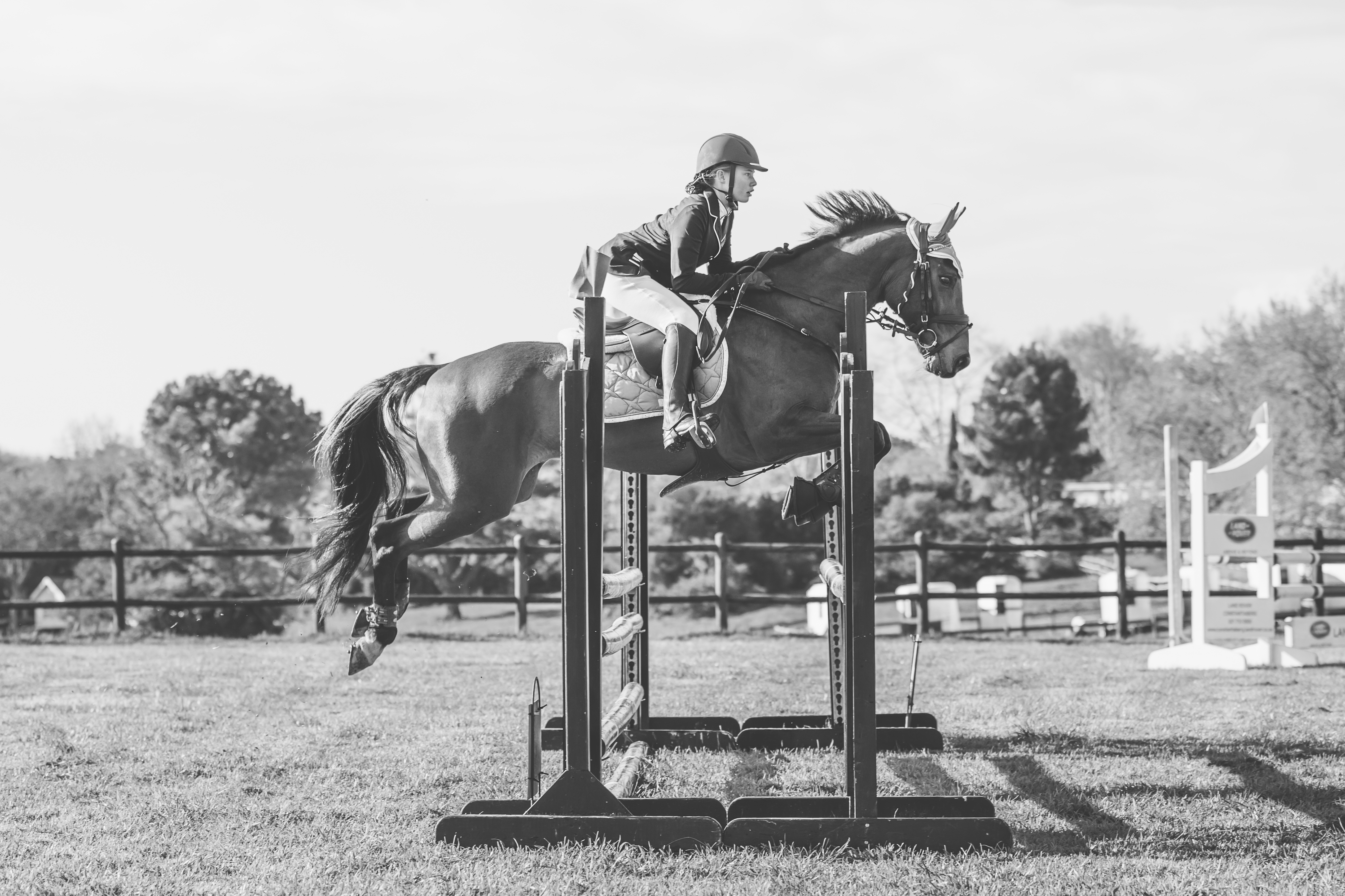 Sarah Michelle Robinson