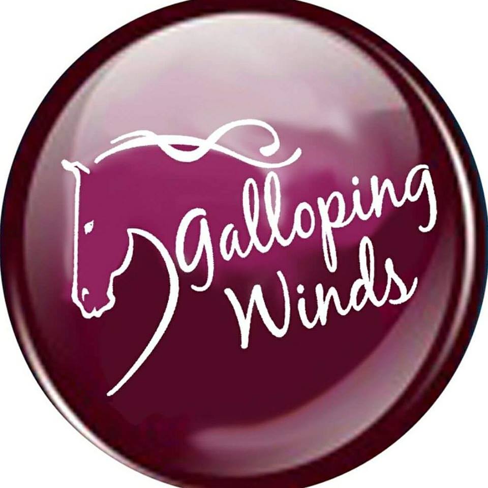 Galloping Winds