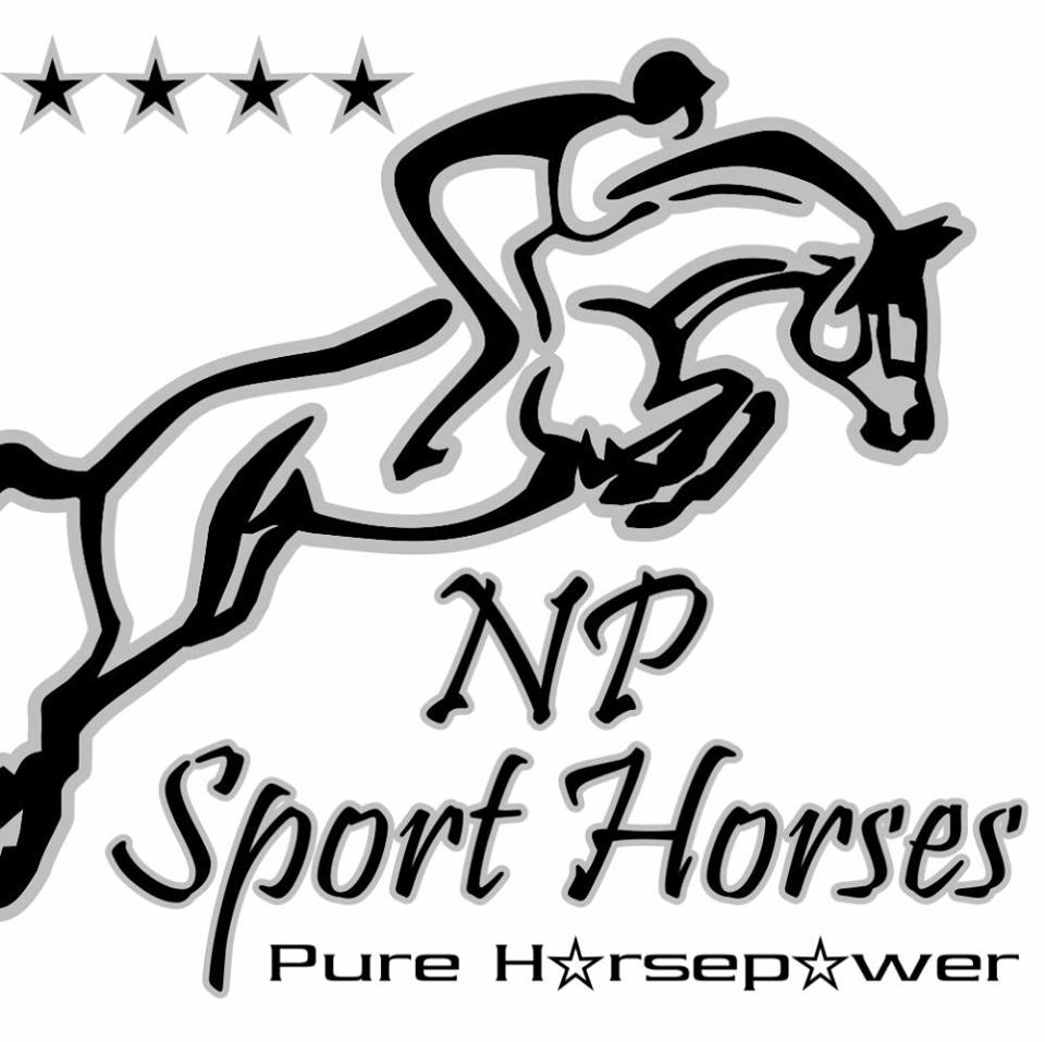 NP Sport Horses 